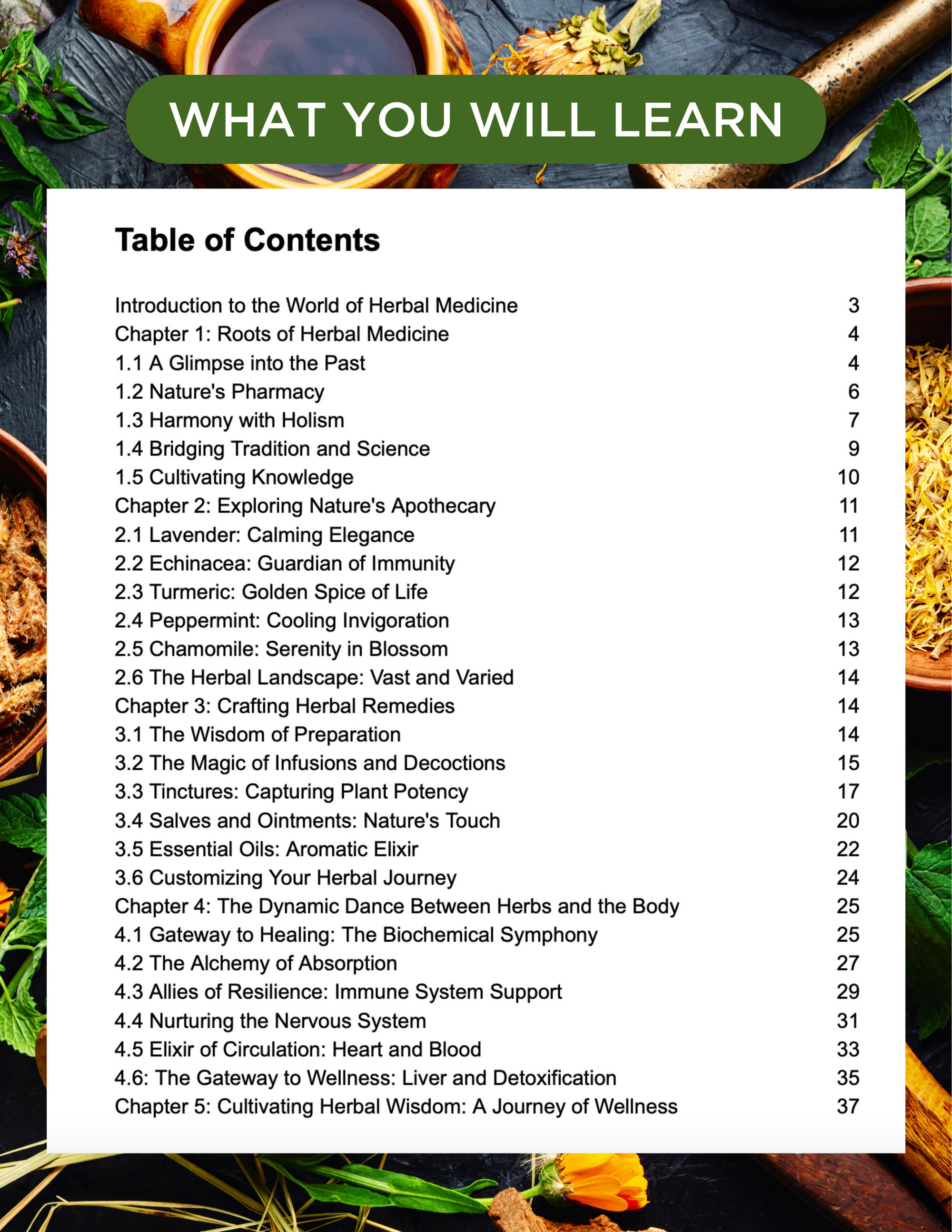 Guide du débutant sur les remèdes à base de plantes (e-book)🌿