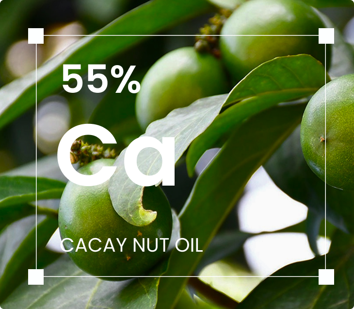Cacay Nut Oil 