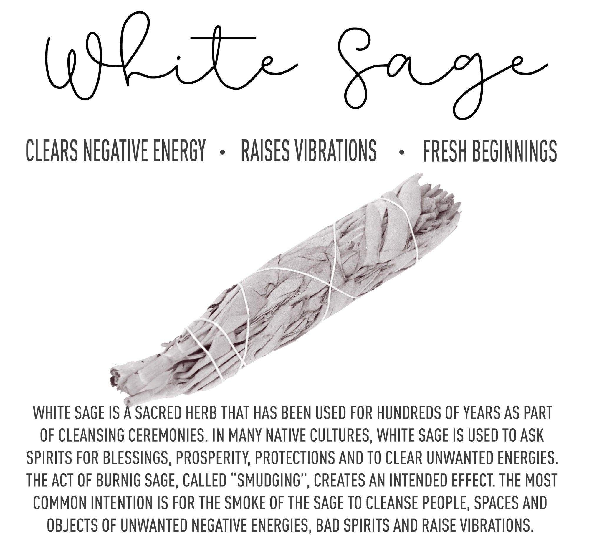 White Sage Smudge Stick