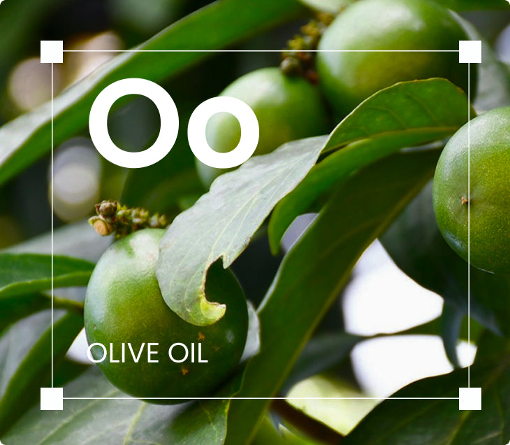 Organic Olive Oil