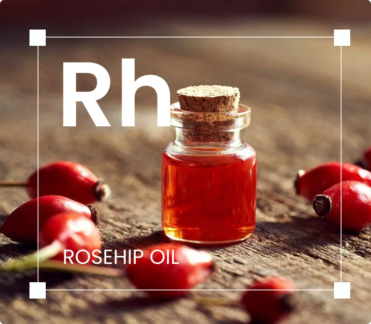 Rosehip Oil