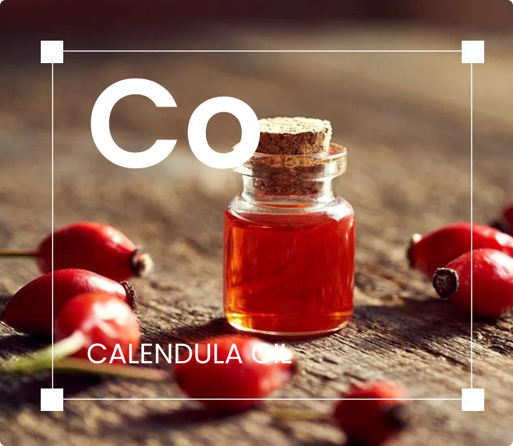 Organic Calendula-Infused Oil