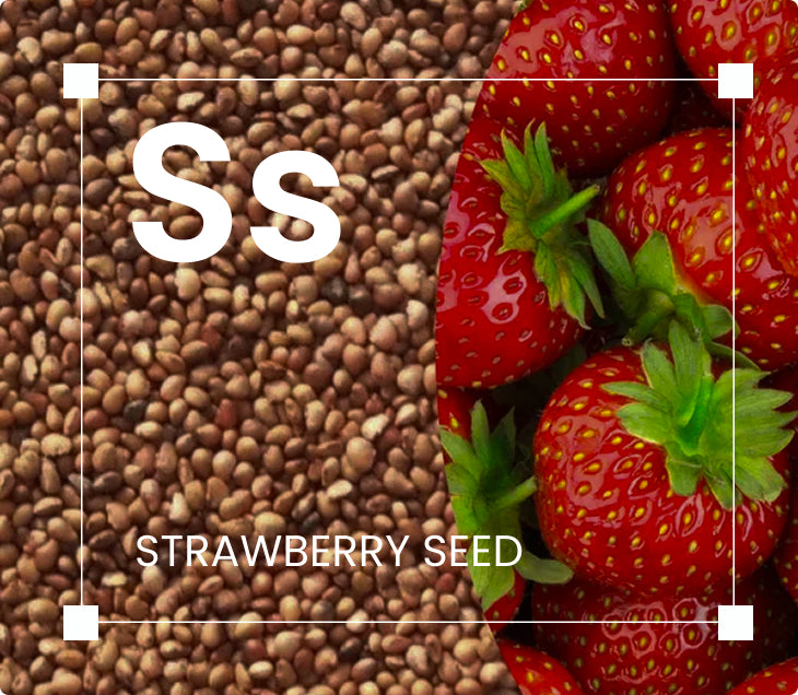 Organic Cold Pressed Strawberry Seed Oil