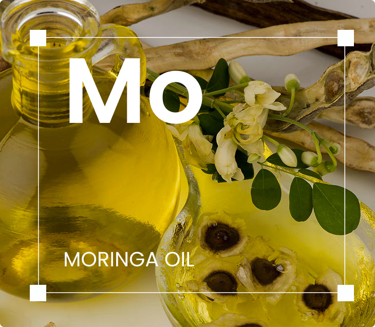 Organic Cold Pressed Moringa oil