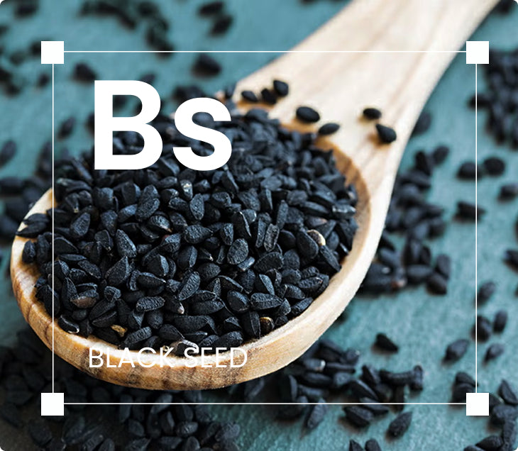 Black Seed Oil