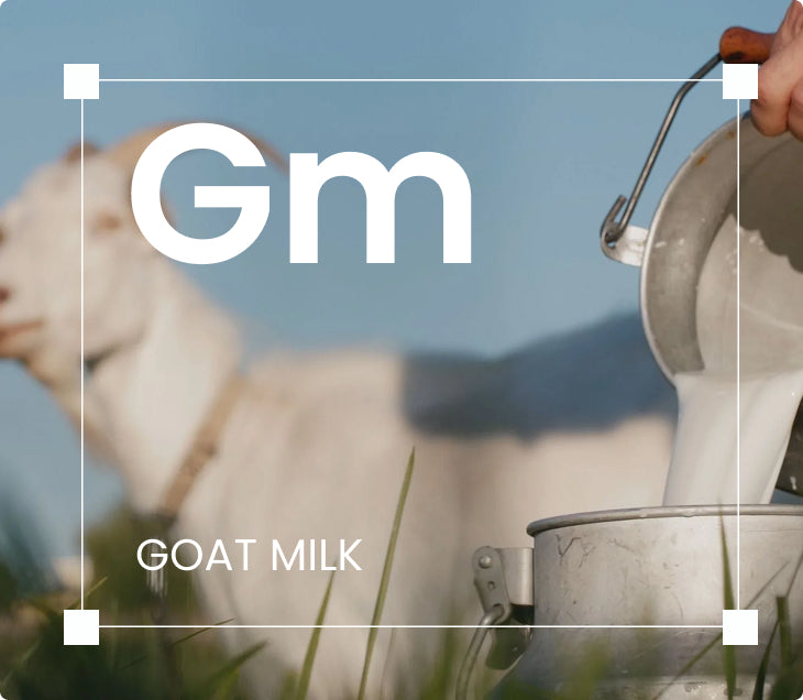 Goat’s Milk Soap
