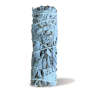 White Sage Smudge Stick